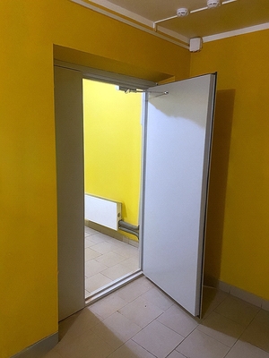 Глухая полуторная дверь