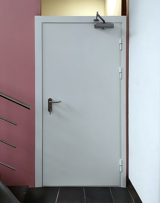 Однопольная стандартная дверь