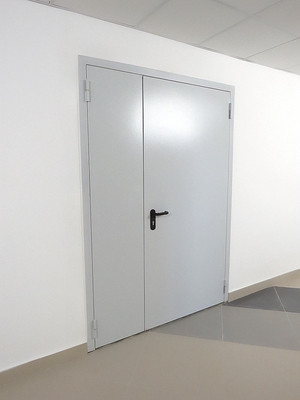 Пожаростойкая дверь серого цвета