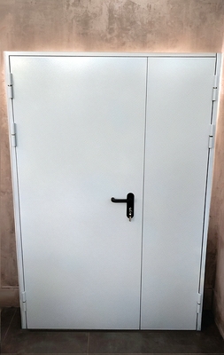 Полуторная огнеупорная дверь