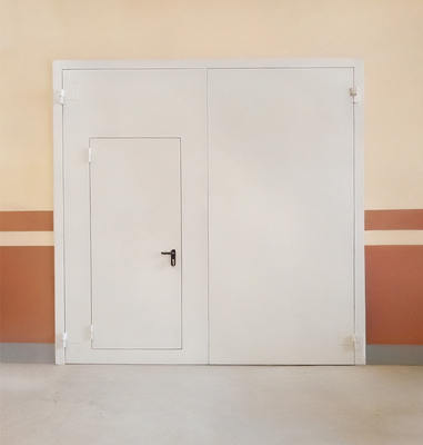 Промышленные ворота ei-60 Промышленные ворота ei-60